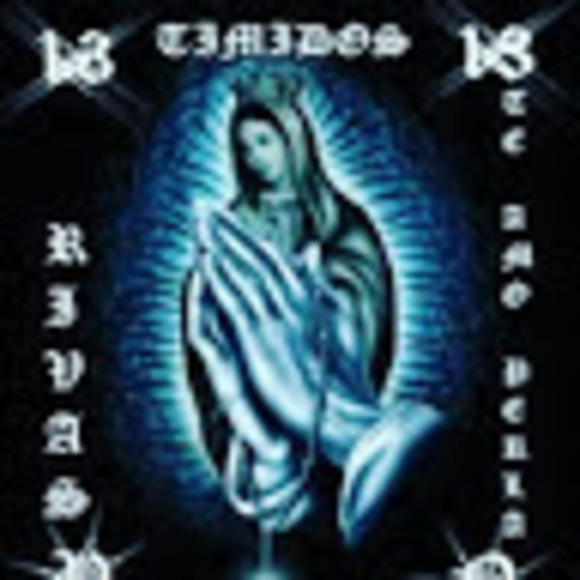 Meet your Posher, Max - Picture 1 of 1